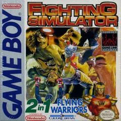 2 In 1: Flying Warriors / Fighting Simulator - GameBoy - Retrocharting