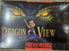 Dragon View [Limited Run] - Super Nintendo - Retrocharting