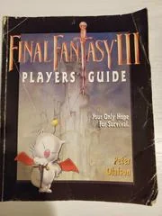 Background - Final Fantasy III [Infotainment World] - Strategy Guide - Retrocharting