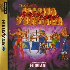Fire Pro Gaiden: Blazing Tornado - Sega Saturn - Retrocharting