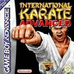International Karate Advanced - GameBoy Advance - Retrocharting