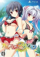 Karumaruka Circle - Playstation 4 - Retrocharting