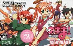 Mahou Sensei Negima! Private Lesson: Dame Desu Toshokan - GameBoy Advance - Retrocharting