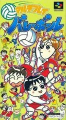 Multi Play Volleyball - Super Famicom - Retrocharting