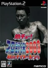 Background - Netsu Chu Pro Yakyuu 2003: Aki No Night Matsuri - PlayStation 2 - Retrocharting