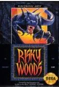 Risky Woods - Nintendo DS - Retrocharting