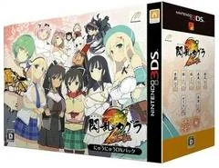 Senran Kagura 2 Shinku Nyuu Nyuu DX Pack - Nintendo 3DS - Retrocharting