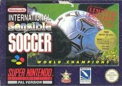 Background - Sensible Soccer: International Edition - Super Nintendo - Retrocharting