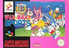 Background - Tiny Toon Adventures Wild & Wacky Sports - Super Nintendo - Retrocharting