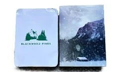 Until Dawn [Press Kit] - Playstation 4 - Retrocharting