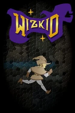 Wizkid - Amiga - Retrocharting